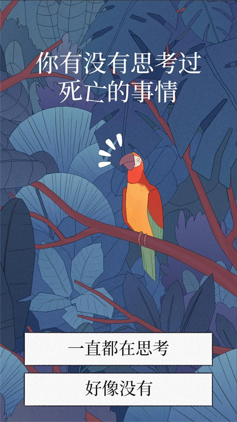 孤独的鸟儿官方正版