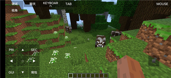 Minecraft Ja