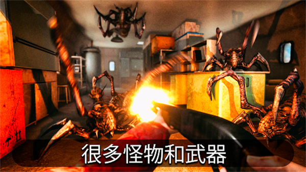 南极洲88号正版