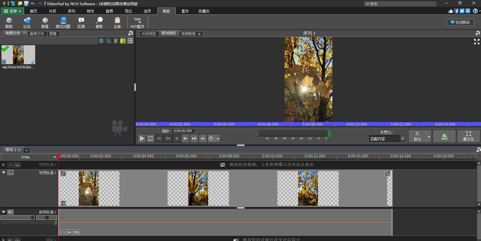 VideoPad Video Editor