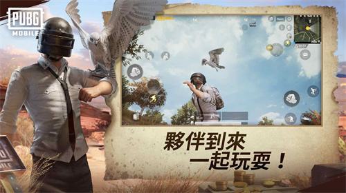 绝地求生刺激战场体验服