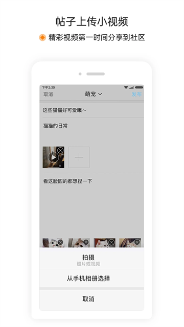 萧内网
