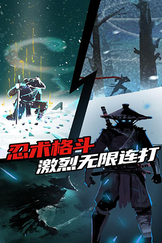 忍者岚1