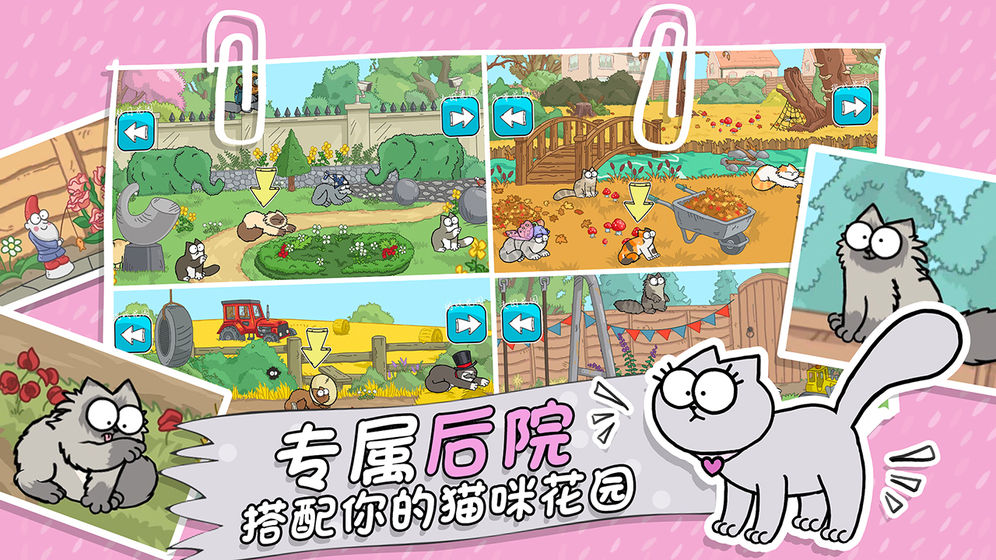 西蒙的猫