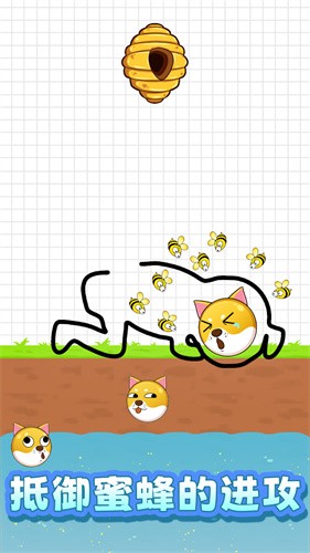 救救狗狗