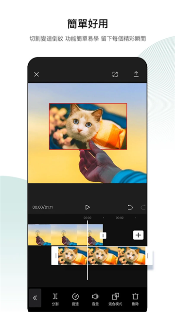 Capcut