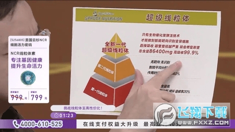 星火海外版TV版最新版