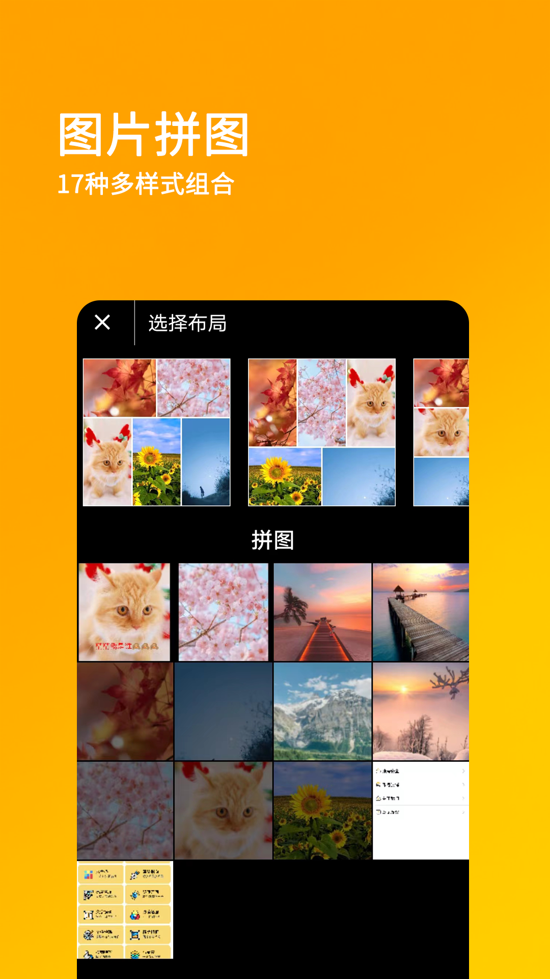 刷圈兔软件免费下载
