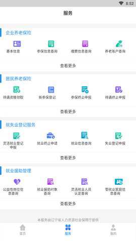 辽宁人社养老认证app