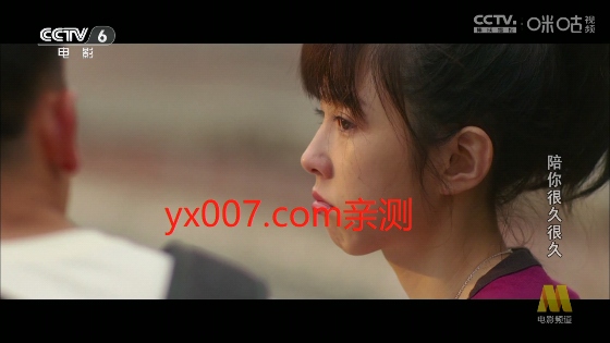 双鱼t