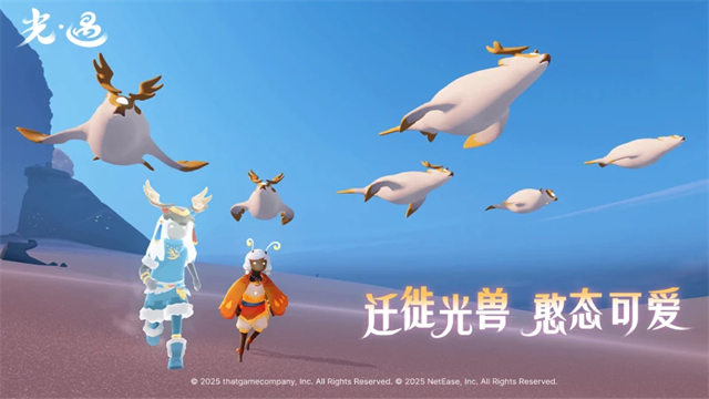 光遇小米版