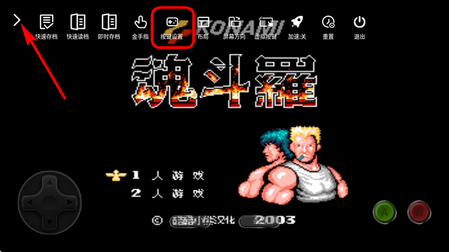小鸡模拟器怀旧版