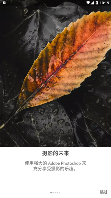 lightroom安卓手机版免费版