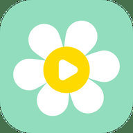 雏菊影视