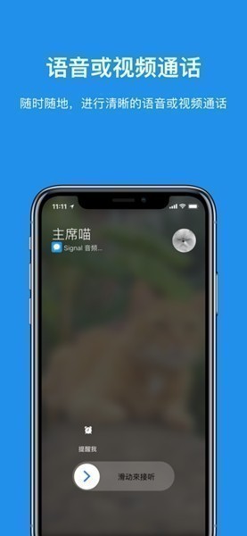 Signal中文版