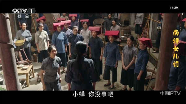灵犀直播t