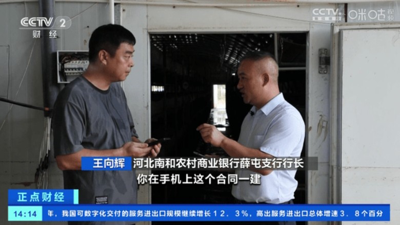 小白直播