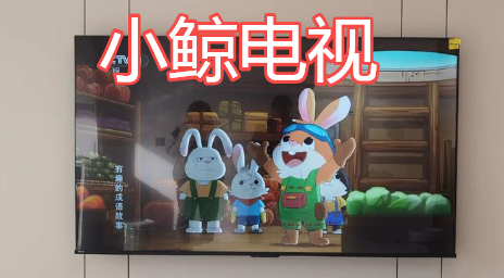 小鲸电视TV电视版下载官方版-小鲸电视最新版2026下载v1.3.2