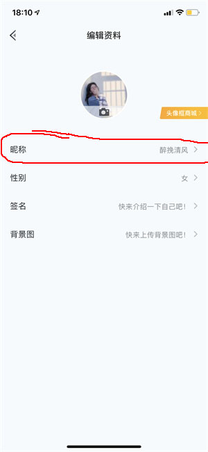 和平营地2024