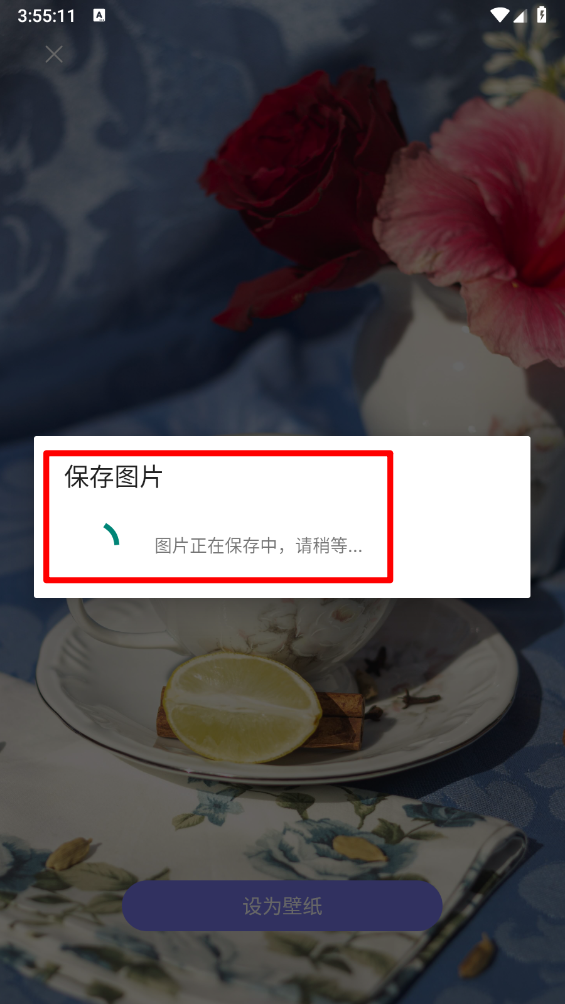 壁纸蛙
