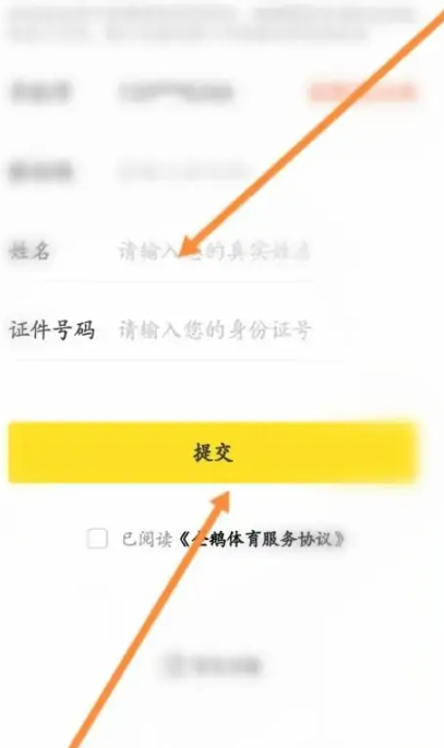 企鹅体育