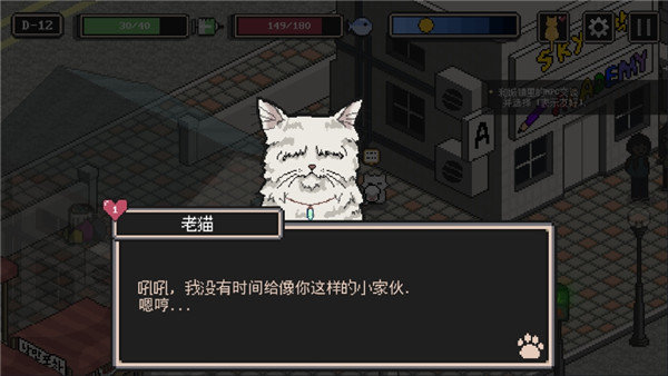 流浪猫的故事