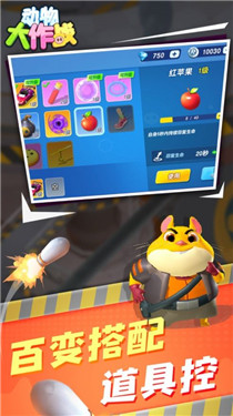 动物大作战猫鼠对决真实截图