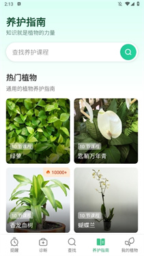 Plant Parent