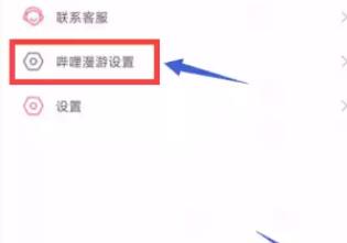 哔哩漫游X