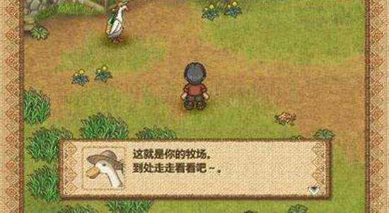 欢迎来到绵羊村2023