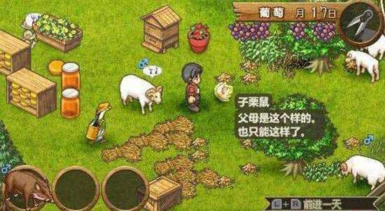 欢迎来到绵羊村2023