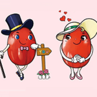 红枣影视大全