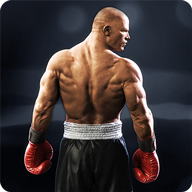真实拳击2中文版(Real Boxing 2)