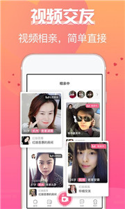 珍婚相亲