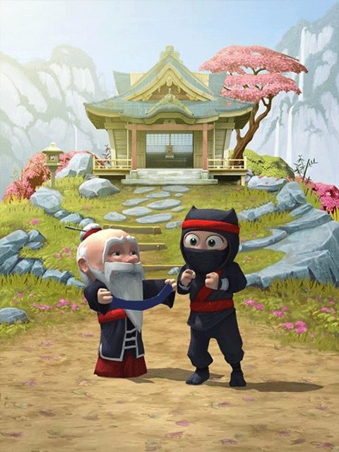 笨拙的忍者中文版破解版