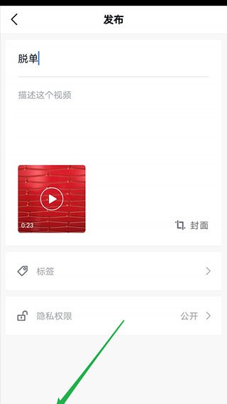 vn视频剪辑正版