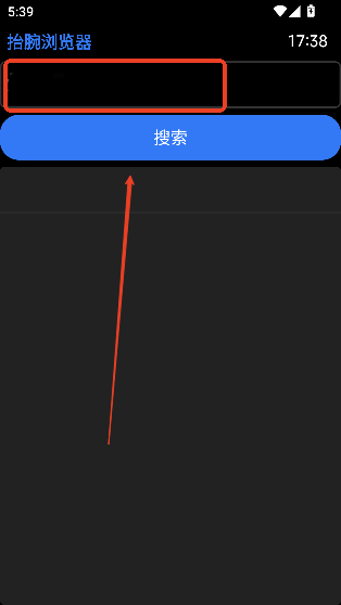 抬腕浏览器
