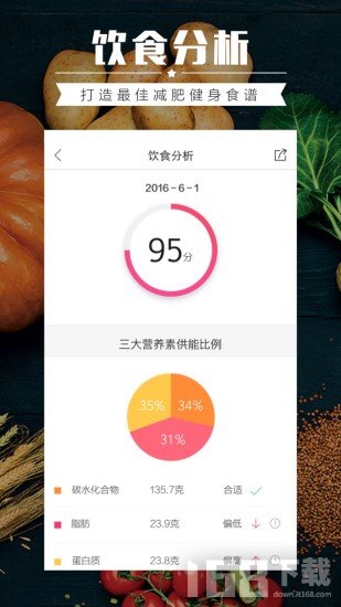 薄荷营养师