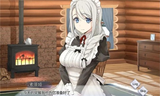 我与索菲亚的秘密中文版