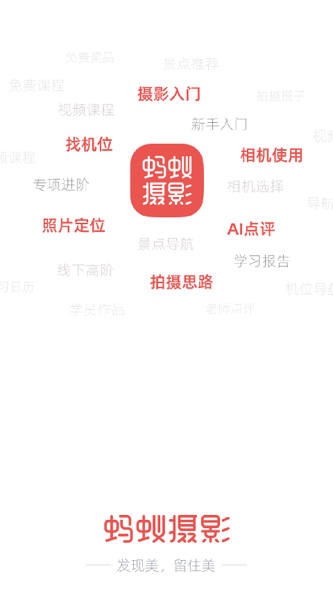 蚂蚁摄影