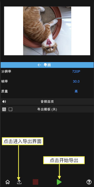 nodevideo专业正版