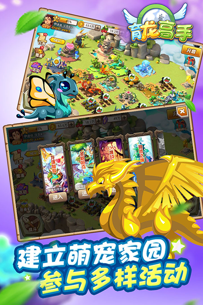 育龙高手官方正版