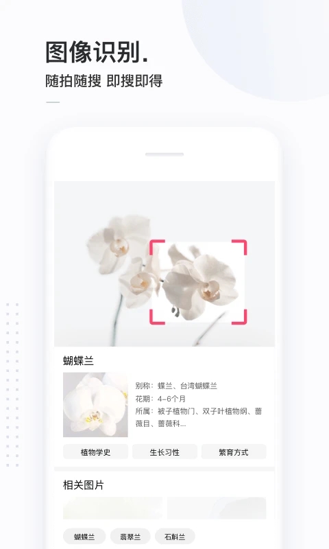 简单搜索app