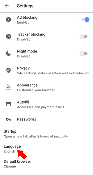 Opera beta