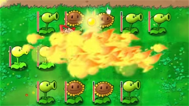 植物大战僵尸钱版