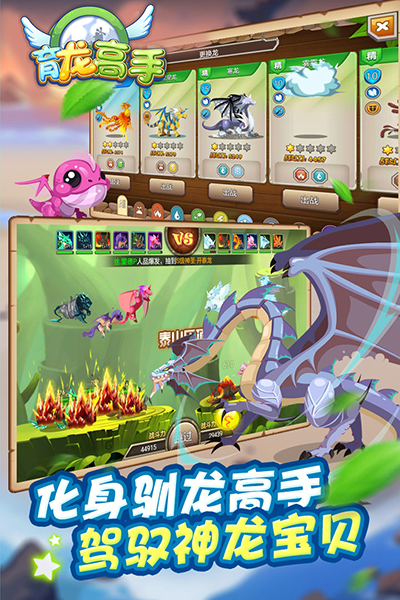 育龙高手官方正版