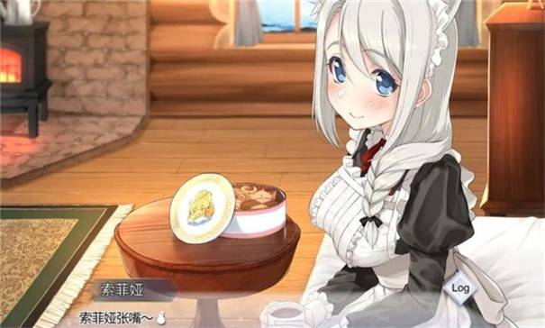 我与索菲亚的秘密中文版