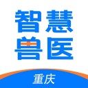 重庆智慧动监平台