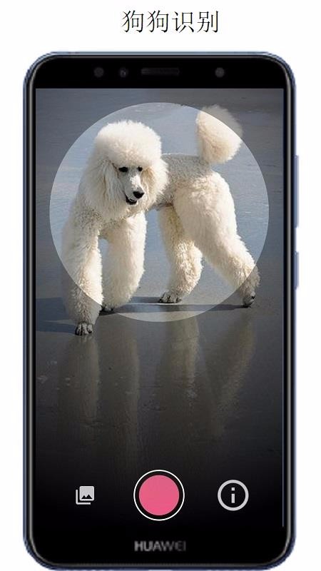 万物识别app