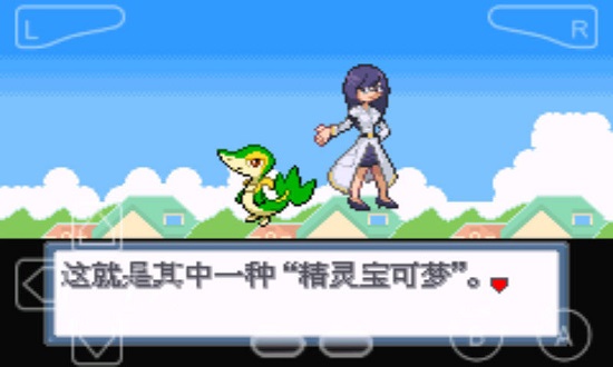 口袋妖怪：白金光